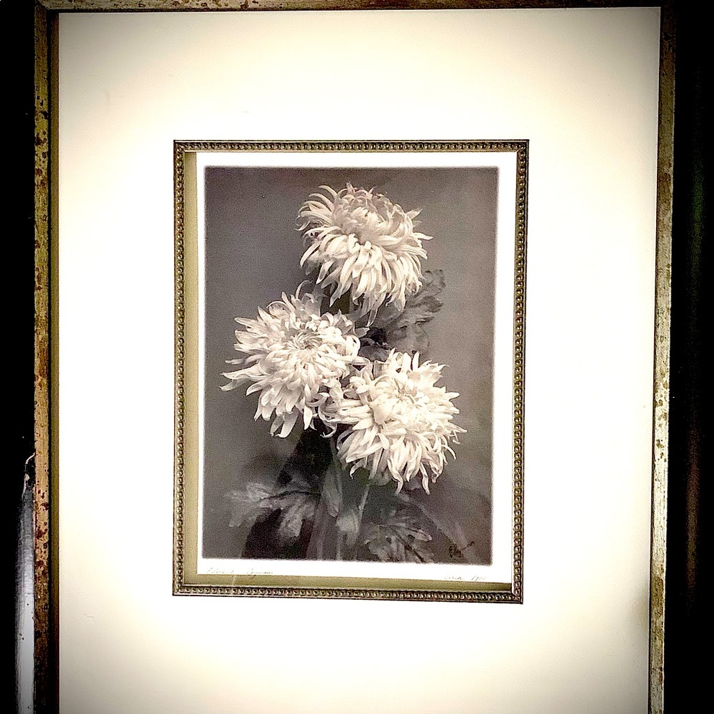 Edward Seymour’s “Chrysanthemums”